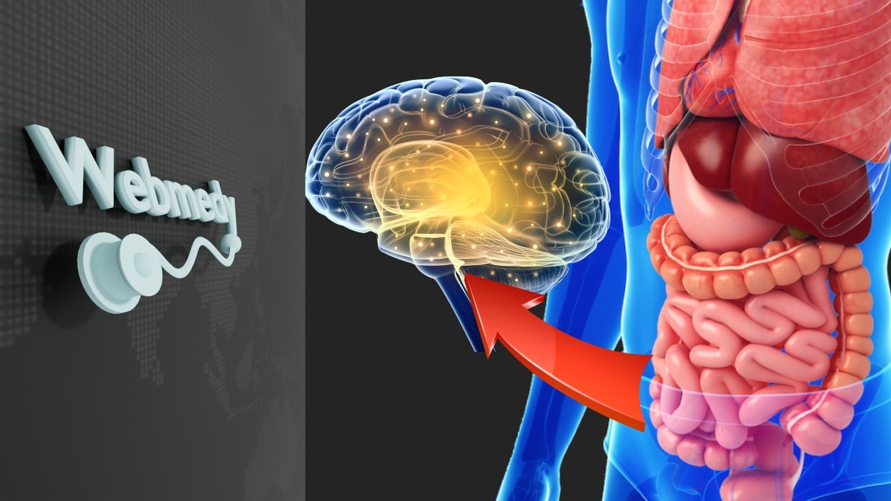 El Microbioma Intestinal y su Impacto en la Salud Mental